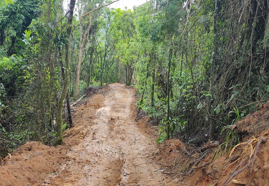 Denúncia de crime ambiental feita ao Linha Verde leva polícia a identificar abertura ilegal de estrada e desmatamento em Paraty
